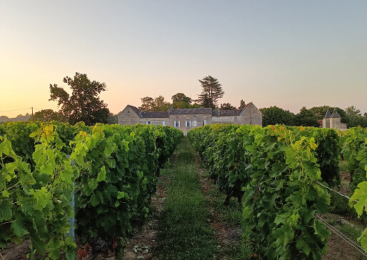 Château Petit Clos du Roy - La Reserve Du Roy