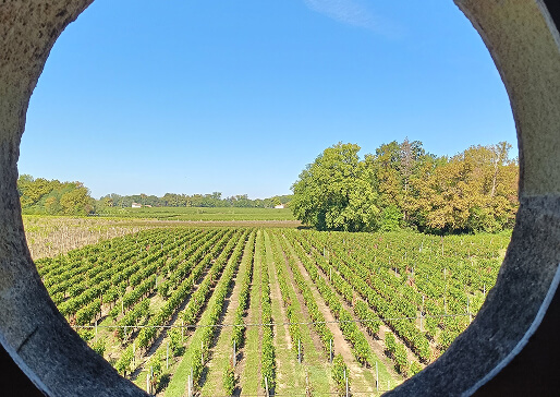 Château Petit Clos du Roy - La Reserve Du Roy