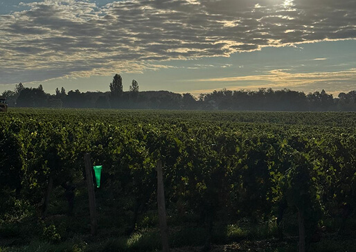 Château Petit Clos du Roy - La Reserve Du Roy
