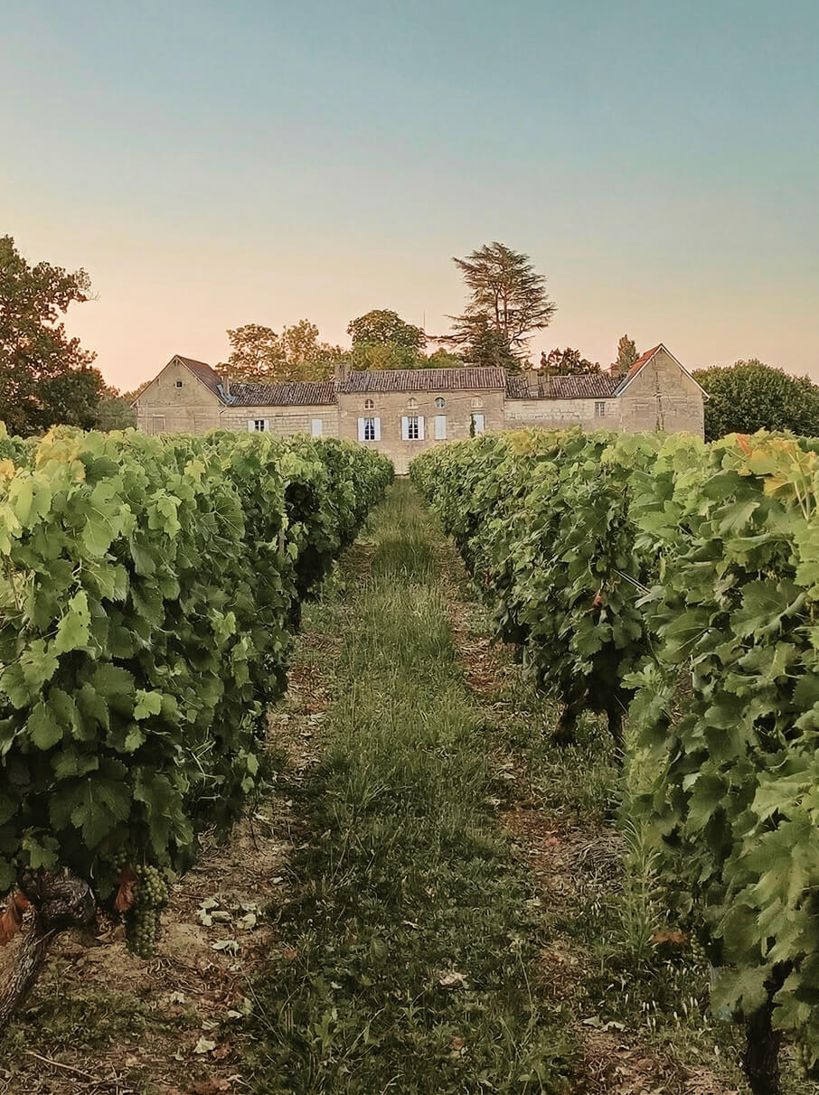 Accueil - La Reserve Du Roy
